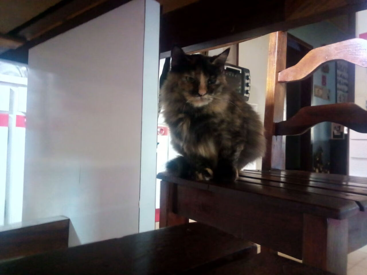 德甲加大青训投入,未来天才不断涌现,德甲青训体系