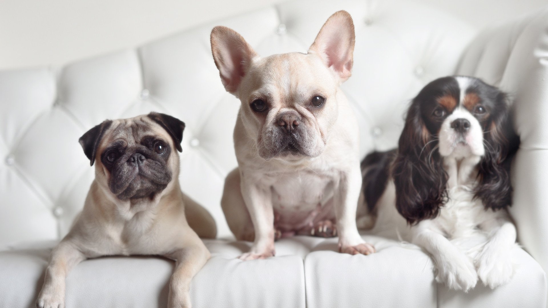 快船首次启用“主客席音效对调”实验赛,快船主客场球衣