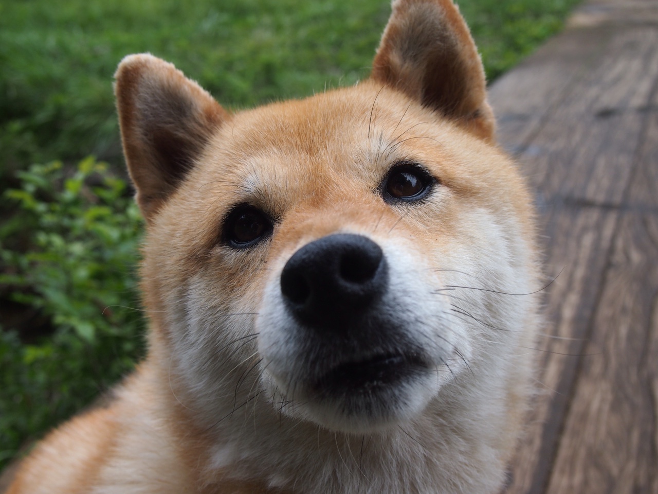 英雄联盟 赛季总结数据公布,英雄联盟 赛季总结数据公布了吗