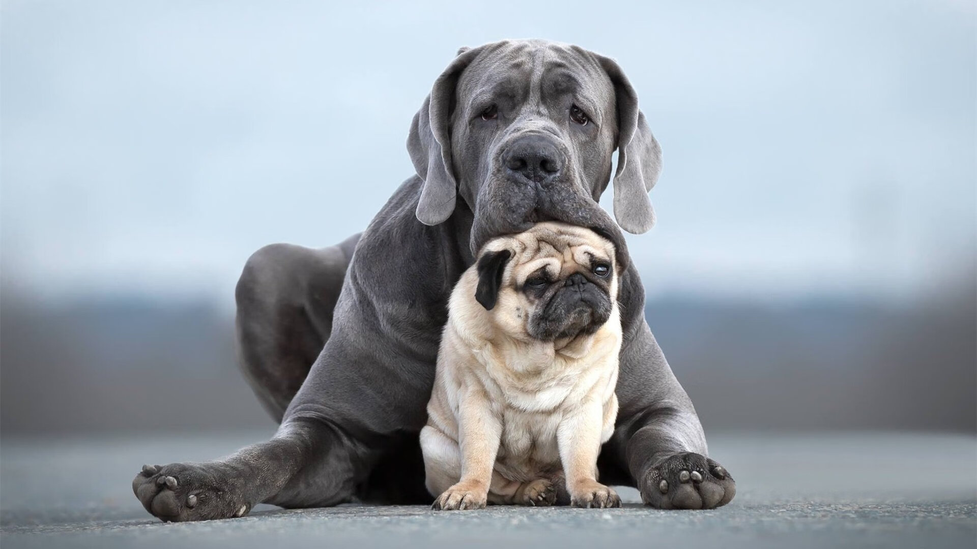 开云官方网站-训练奥秘：NBA明星日常训练的幕后揭秘，篮球明星训练
