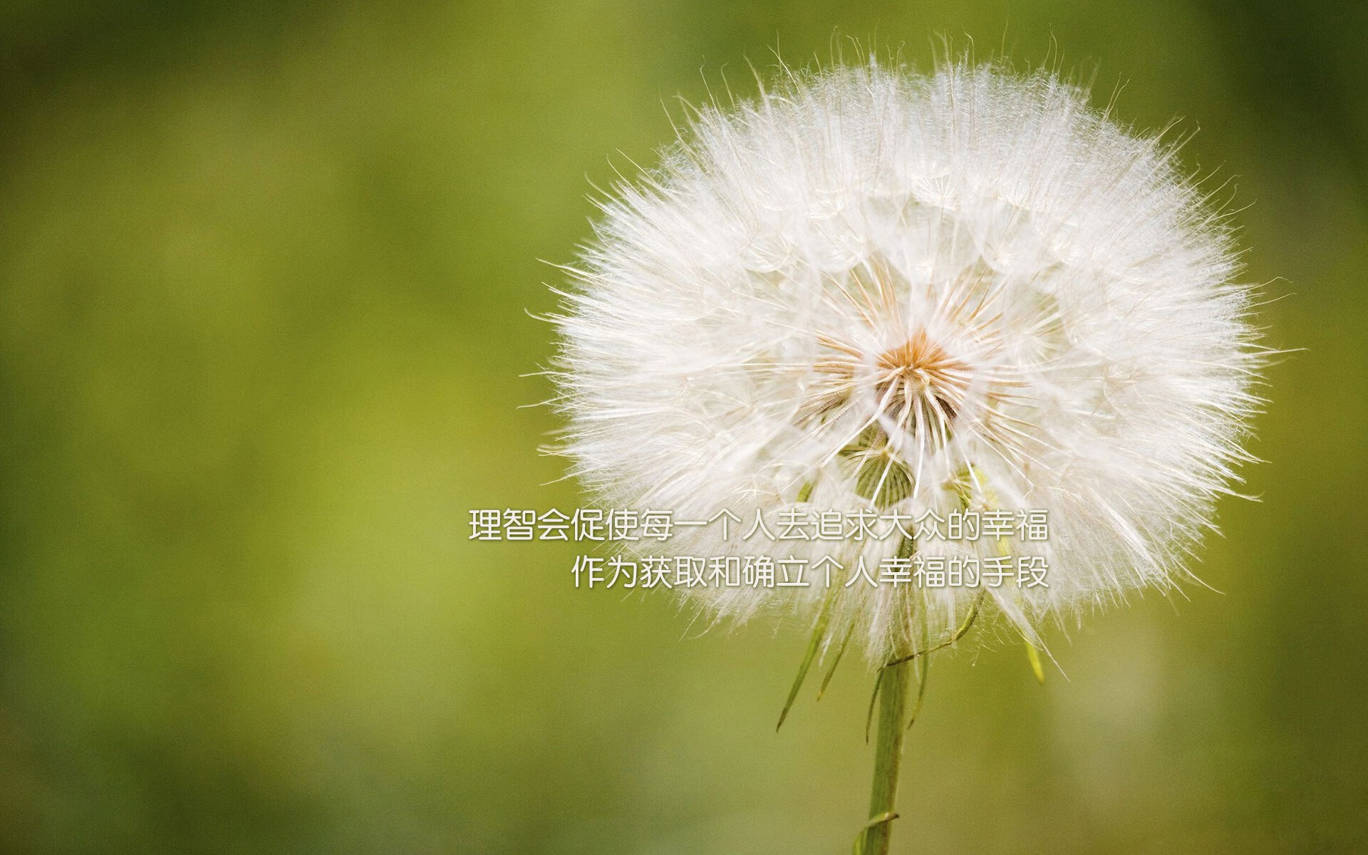 青少年“梦想助跑”篮球公益在西安持续火热,弘扬青春正能量,青少年篮球宣传口号