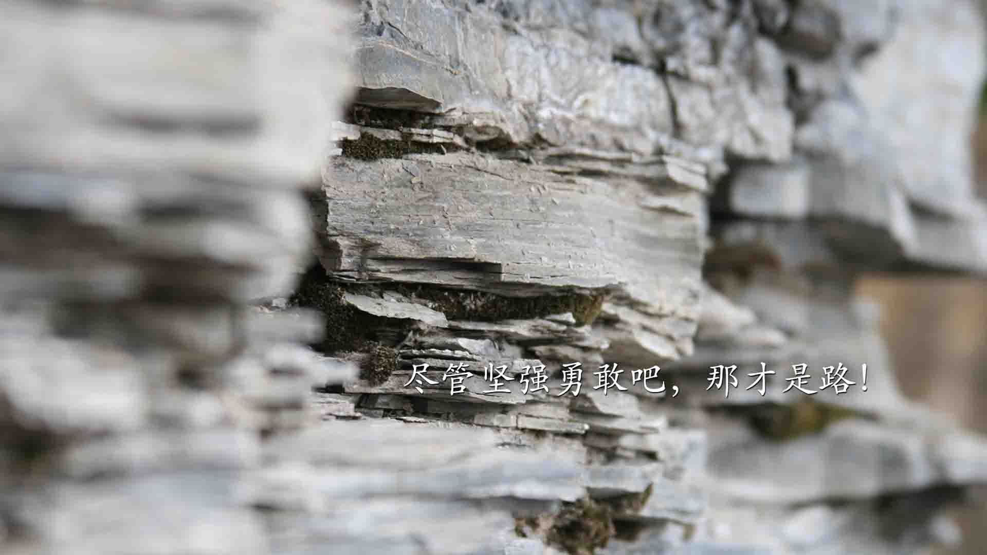 KPL联赛推广科学训练技术,提升竞技水平,kpl训练内容