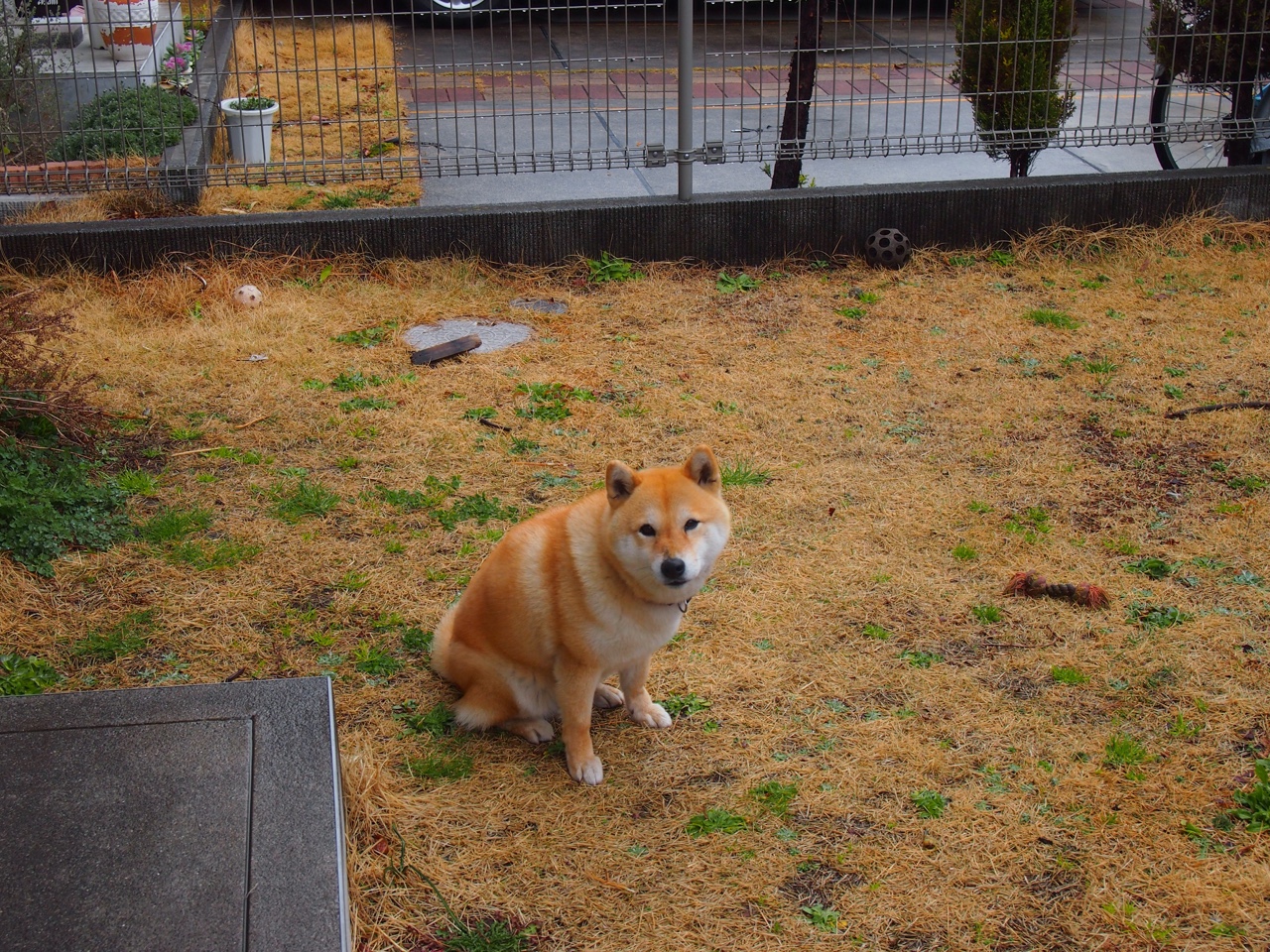 比利亚雷亚尔豪取六连胜,继续领跑,比利亚雷亚尔实力怎么样
