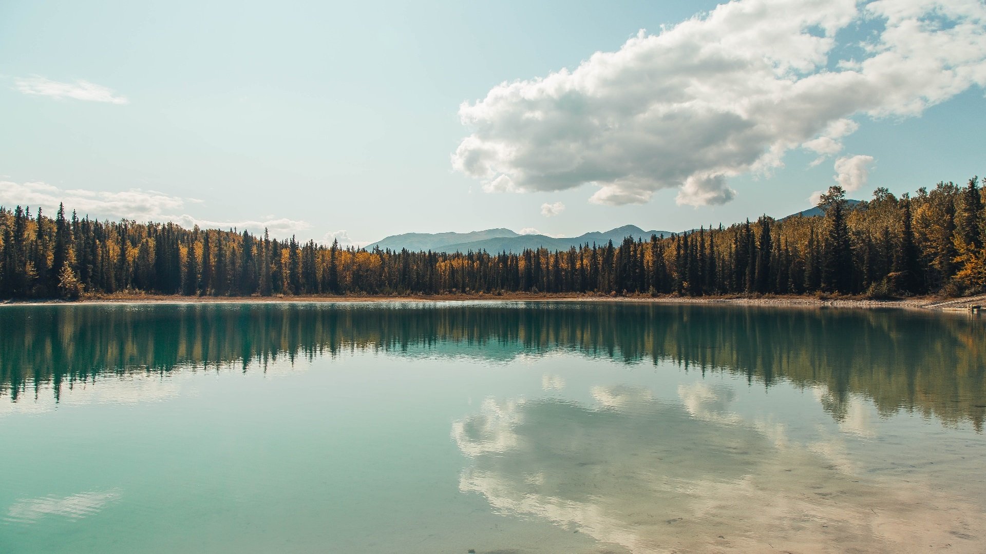 球场设施更新是否对成绩有直接推动作用,球场建设方案