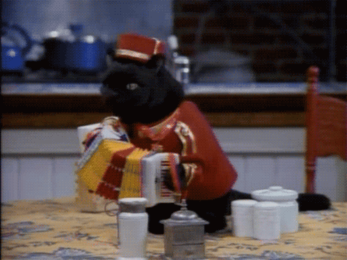 莱斯特城重返英超,誓言重振辉煌,莱斯特城英超战绩