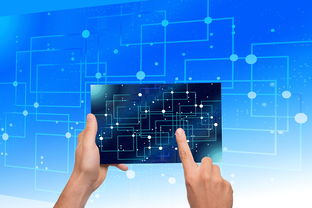 开云kaiyun-NBA联盟品牌资产价值提升路径研究，nba联盟logo设计理念分析