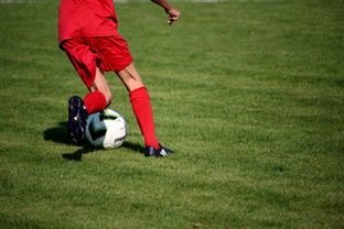 开云官方网站-中国篮球教练员战术创新培训体系，全国篮球教练员岗位培训