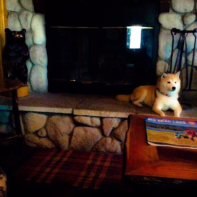 中国足球青少年比赛结构优化,青少年足球竞赛体系