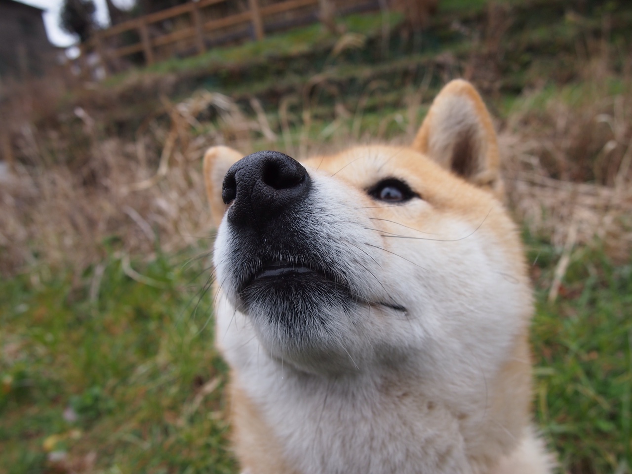 体育新闻中心启动体育数字内容创新孵化项目,中国体育数字创新大赛