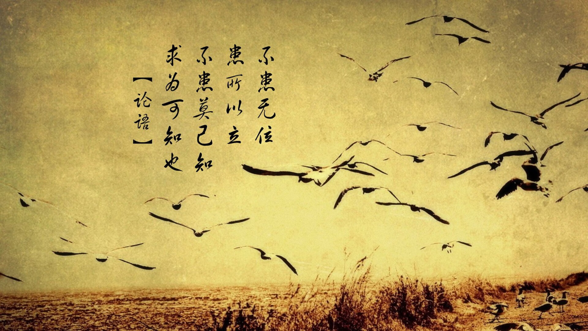 体育新闻中心启动体育数字内容创新孵化项目,中国体育数字创新大赛