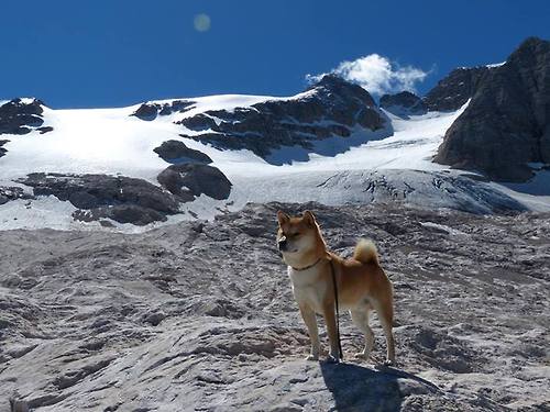 卡特的踢球艺术:打破纪录,赢得全黑队世界杯冠军,卡特进球视频