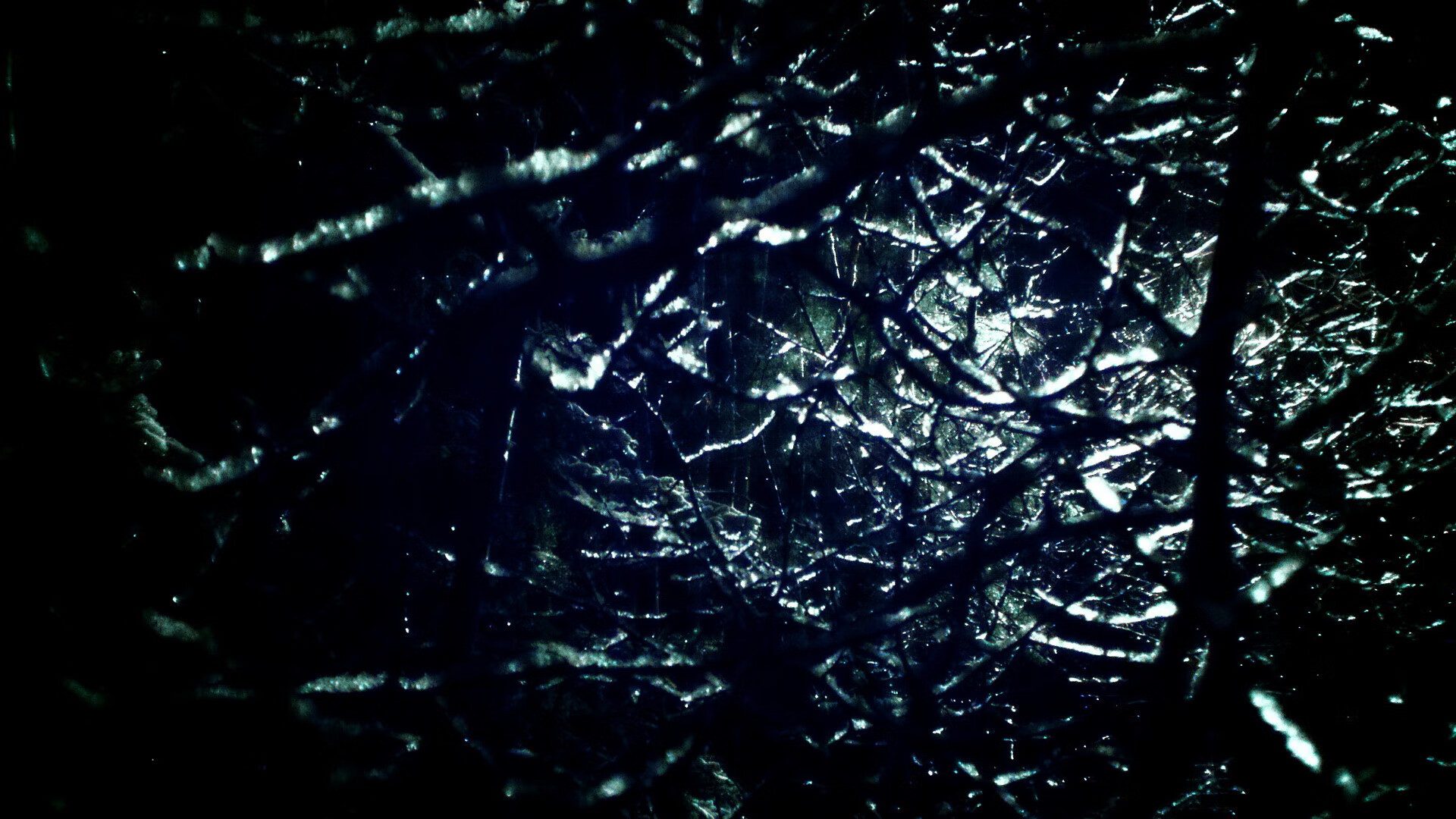 技术流胜利!奥卡拉汉200米自由泳解构