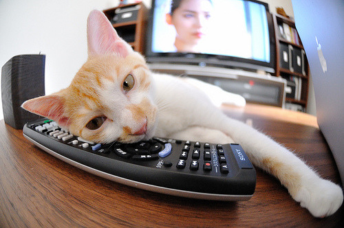 kaiyun中国官方网站-杰克·阿莱克西蝶泳比赛引粉丝刷屏