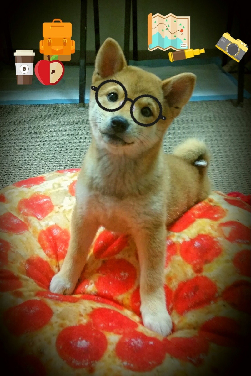 瑞·弗兰:用强大的爆发力和敏捷的跑动让对手防不胜防,瑞弗兰价格对比